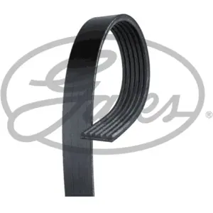 Gates Multiriem pas cher