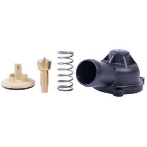 Gates TH41887K1 Thermostat d'eau pas cher
