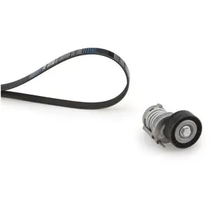 Van Wezel Multiriem set pas cher