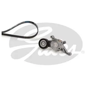 Multiriem set K036DPK1195 Gates