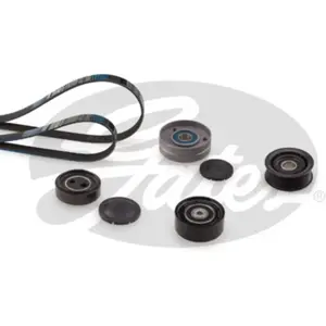Multiriem set K036PK2403 Gates