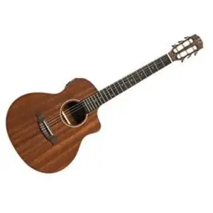 J.N. Guitars Olo-Ce N - Guitare Électro-Classique Table En Sapelli, Série OlorosoVendu parbax-music