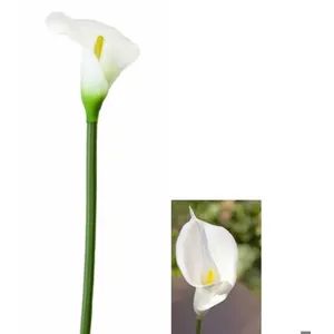 Hasbro Fleur ARUM sur tige 65cm ivoire pas cher