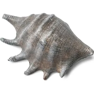 Grand coquillage gris 12 cm pas cher