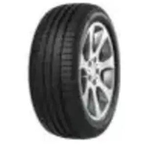 Minerva Pneu Minerva F205 ( 265/30 R20 94Y XL )