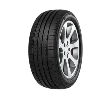 Pneu AUTO MINERVA F205 225 40 ZR19 93Y XL TOURISME ETE pas cher