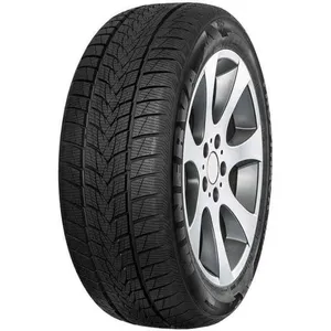 Minerva Frostrack UHP 205/55 R16 94H pas cher