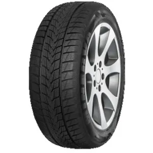 Minerva Pneu Minerva Frostrack UHP ( 205/55 R16 91H ) pas cher