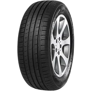 Pneu AUTO MINERVA F209 225 60 R16 98H TOURISME ETE pas cher