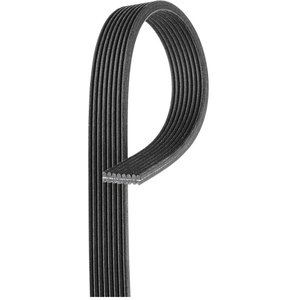 Poly V-riem 8DPK1355 Gates pas cher