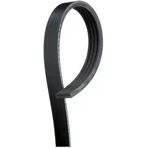 Gates Poly V-riem pas cher