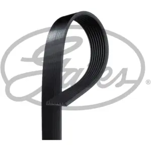 Gates Multiriem pas cher
