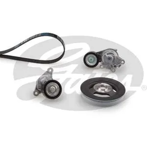 Gates Multiriem set