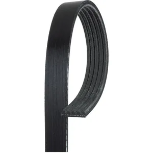 Gates Poly V-riem pas cher