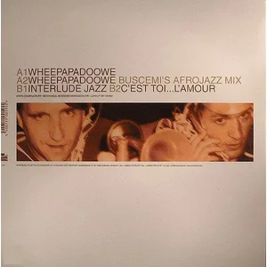 DOWNSALL PLASTICS Wheepapadoowe/buscemi afro mix pas cher