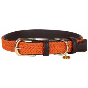 Comparateur de prix : Kentucky - Hondenhalsband - Gevlochten Nylon Hondenriem - Oranje - Maat XL (71cm)