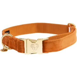 Kentucky Honden band velvet oranje XS'25-38cm - Hondenriem pas cher
