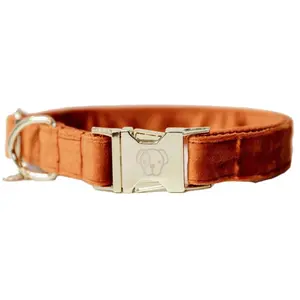 Comparateur de prix : Kentucky Horsewear Dogwear - Velvet Hondenhalsband - Oranje - Maat XL - 45-75cm - Hondenriem
