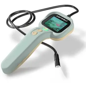 Jeu d'observation