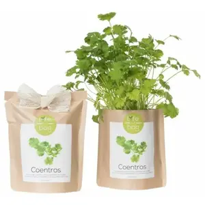 LIFE IN A BAG Kit bio prêt à pousser Coriandre pas cher