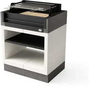 Barbecue de Construction à Bois et Charbon Modèle kitaway grill (Gris/... pas cher