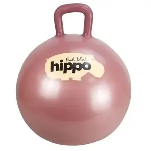 Find That Hippo Balle Rebondissante pas cher