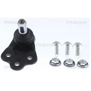Fuseekogel 850080557 Triscan pas cher