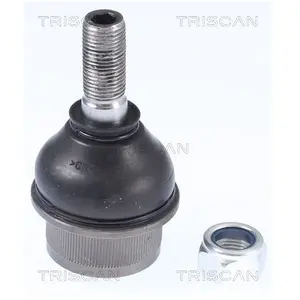 Fuseekogel 850015598 Triscan pas cher