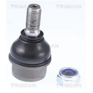 Fuseekogel 850015599 Triscan pas cher
