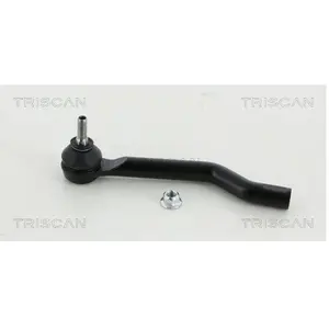 Spoorstangeind 850014162 Triscan pas cher