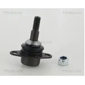 Fuseekogel 8500115053 Triscan pas cher