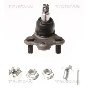 Fuseekogel 850040536 Triscan pas cher