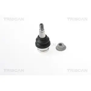 Comparateur de prix : Fuseekogel 8500295018 Triscan