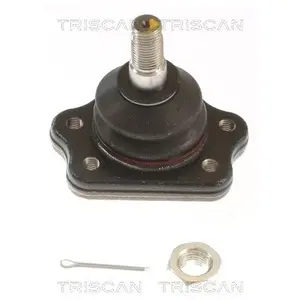 Comparateur de prix : Fuseekogel 850014568 Triscan
