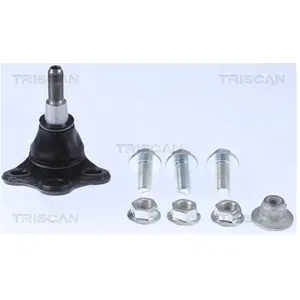 Comparateur de prix : Fuseekogel 850025599 Triscan