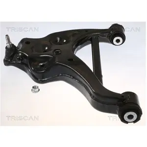 Draagarm wielophanging 850080576 Triscan
