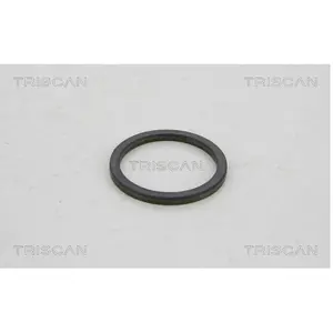 Comparateur de prix : Triscan Sensorring ABS