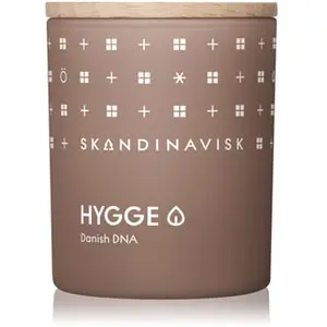 SKANDINAVISK HYGGE Geurkaars pas cher