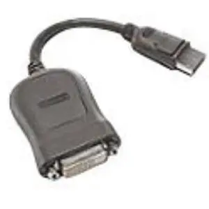 Lenovo Câble DisplayPort - 20 cm pas cher