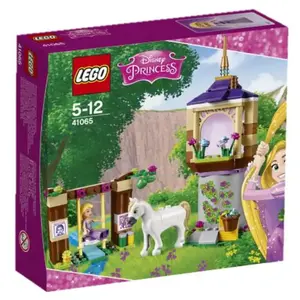 LEGO® Disney Princess 41065 Le jardin de Raiponce pas cher