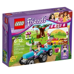 LEGO® Friends 41026 Le marché pas cher