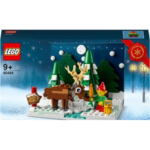 Lego Saisonnier - Le Jardin Du Père Noël - 40484 pas cher