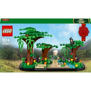 Comparateur de prix : Lego Lego - Hommage À Jane Goodall - 40530