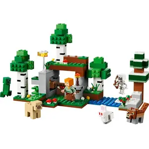 LEGO 21593 FIRST NIGHT ADVENTURE pas cher