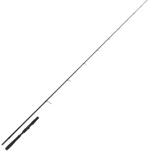 Westin Canne Spinning W2 Precision Cast Limitless