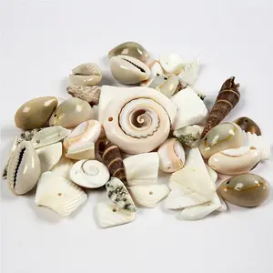 Creativ company Strand schelpen kralen, afm 9-40 mm, gatgrootte 1-1,5 mm, 120 gr pas cher