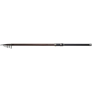 Dam Canne Carpfishing Backbone Ii Stellfisch pas cher
