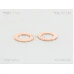 Remslang 815013137 Triscan pas cher