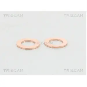 Comparateur de prix : Remslang 815011214 Triscan