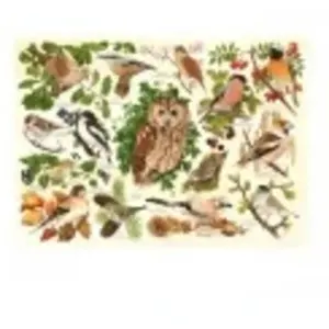 HOP - House of Puzzles Pièces XXL - Oiseaux Des Bois Of-Puzzles-HP0626